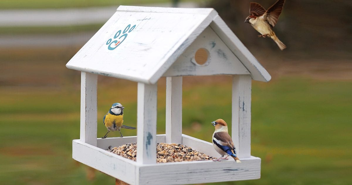 DIY-vogelhaus-selber-bauen