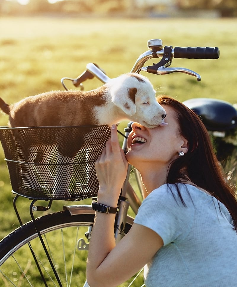 Radfahren-mit-Hund